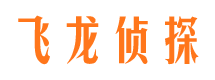 新泰资产调查